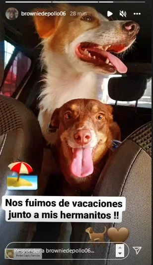 Ele saiu de casa de novo, mas não sozinho Ele saiu de casa de novo, mas não sozinho