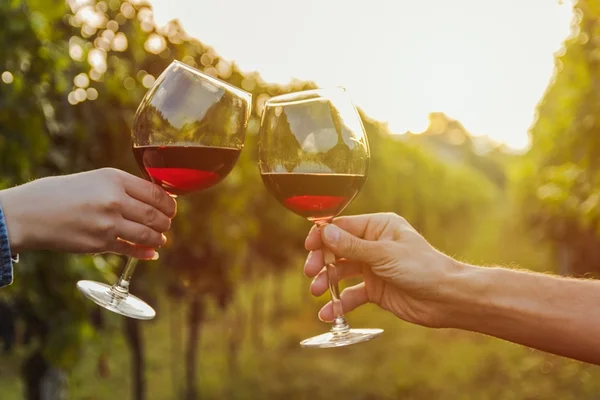 9 dicas para abrir uma garrafa de vinho com segurança e elegância