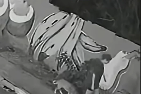 Imagem colorida, Mulher cai em bueiro após tampa ceder em passeio com cão em MT- Metrópoles