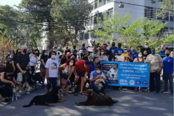 Moradores do Grajaú protestam contra envenenamento de cães