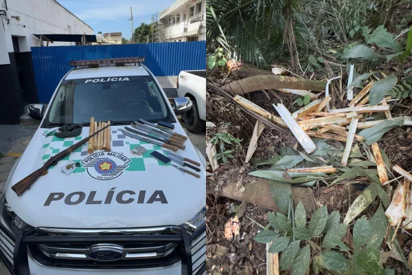 Operação desmantela extração ilegal de palmito no litoral de SP. Grupo foi multado em R$ 7,5 mi após armas e drogas serem apreendidas - Metrópoles