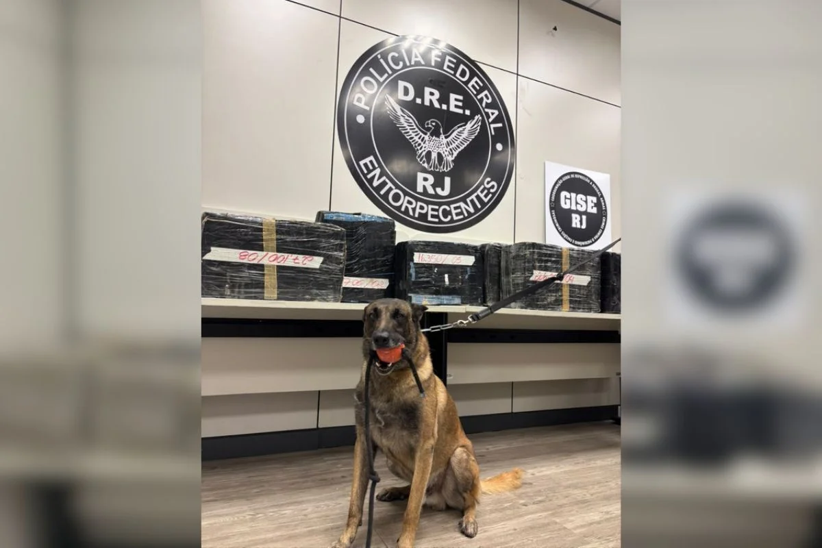 Polícia localizou 385kg de maconha e 4kg de cocaína em cabine de caminhão com apoio de cão farejador Polícia localizou 385kg de maconha e 4kg de cocaína em cabine de caminhão com apoio de cão farejador