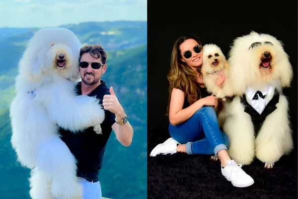 Foto colorida de um homem e uma mulher com um cachorro gigante - Metrópoles