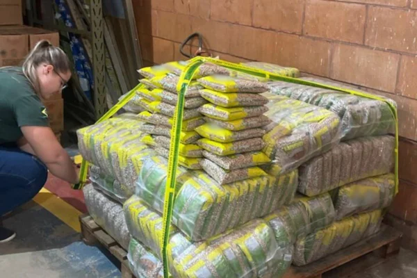 Imagem colorida mostra agente do Ministério da Agricultura e Pecuária com toneladas de arroz e feijão com disparidade de tipo apreendidas em fiscalização - Metrópoles