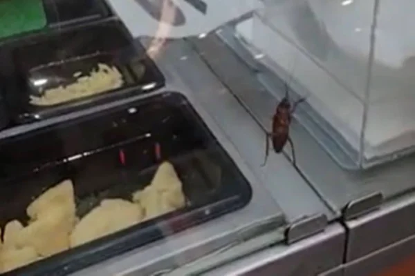 Barata no Subway