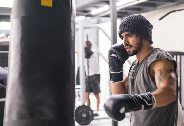 Ano sabático, boxe e maturidade: leia entrevista do galã Caio Castro