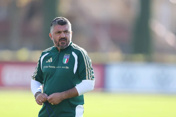Foto colorida de Gennaro Gattuso, técnico da Itália - Metrópoles