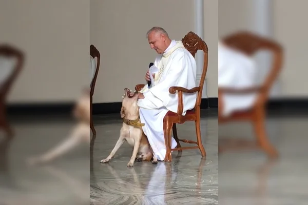 Cachorro invade missa e reação do padre causa comoção na internet