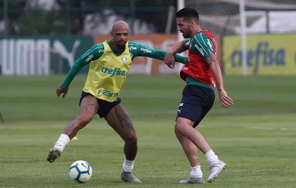 Mano Menezes comanda treino do Palmeiras ainda sem Luiz Adriano