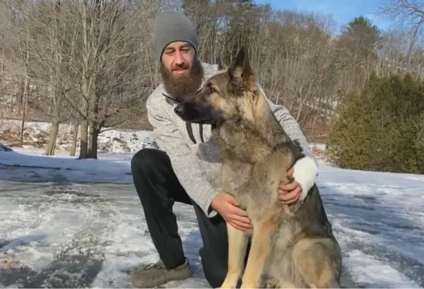 Cachorro pastor alemão com um homem ao lado dele de calça preta e blusa de frio cinza e touca na neve- metrópoles