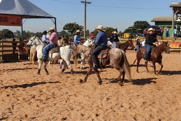 Imagem colorida mostra cavalos em evento em São Carlos. Metrópoles