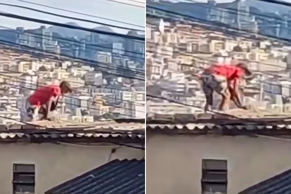 Suspeito de furtar botijões de igreja é flagrado fugindo pelo telhado