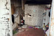 Ex-inquilina abandonou o animal sem água e comida Ex-inquilina abandonou o animal sem água e comida
