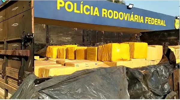 goias apreensão de maconha