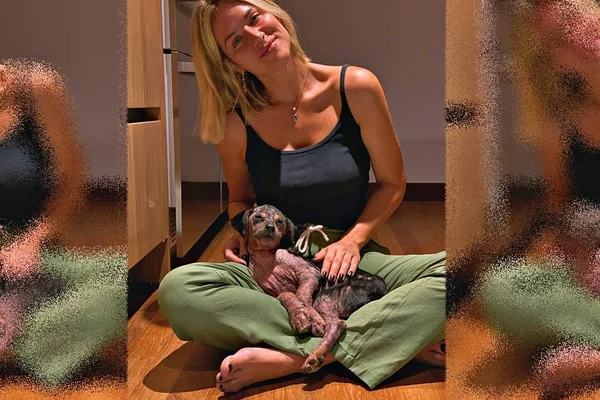 Giovanna Ewbank mostra evolução de Lasanha, sua cachorra adotada