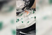 Casal é preso ao buscar cocaína escondida em baldes de argamassa - imagem 2