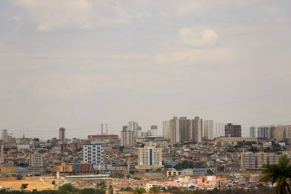 Samambaia
