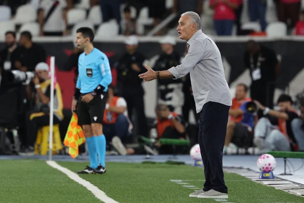 Tite, técnico do Botafogo