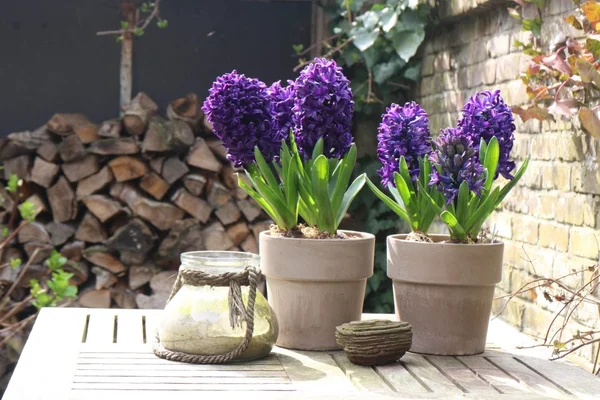 Vaso de flor