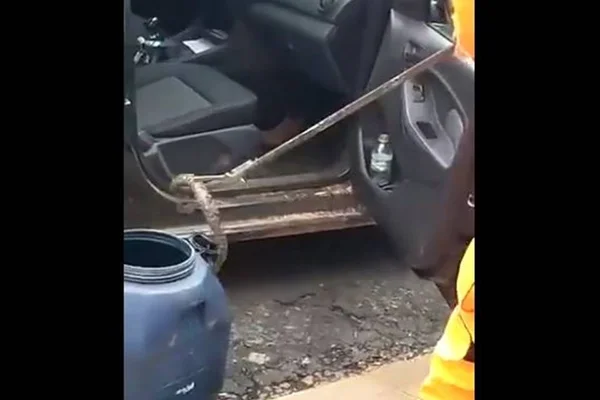 Vídeo: criança de 2 anos encontra cobra dentro do carro, sob a cadeirinha