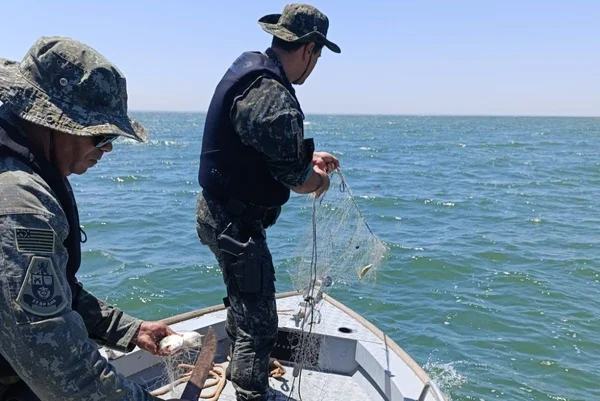 Foto colorida de apreensão de rede de pesca