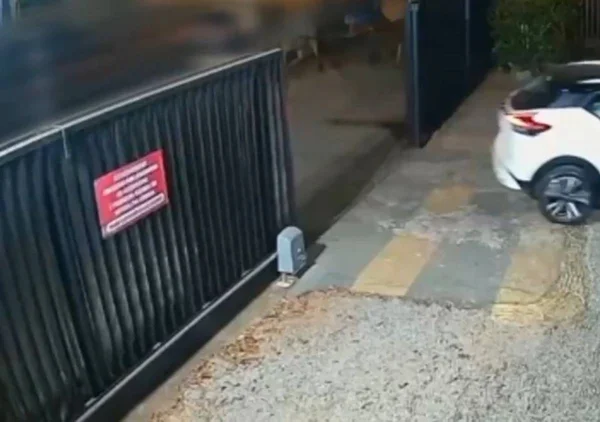 Corpo de João Miguel foi carregado em tambor de ração de cavalo. Vídeo