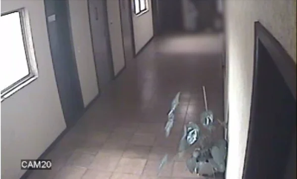 Vídeo: câmera flagra bombeiro matando atual namorado da ex em Curitiba