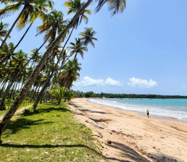 A Praia de Garapuá, na Bahia, oferece aos turistas um mar sensacional com piscinas naturais, areia clarinha e muitos coqueiros. É o cenário ideal para quem quer descansar ou curtir A Praia de Garapuá, na Bahia, oferece aos turistas um mar sensacional com piscinas naturais, areia clarinha e muitos coqueiros. É o cenário ideal para quem quer descansar ou curtir