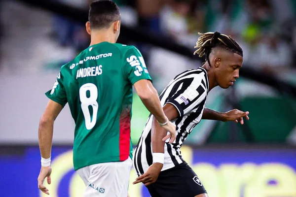 Foto colorida do jogo entre Botafogo x Palmeiras - Metrópoles
