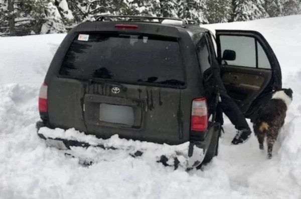 Preso na neve, homem sobreviveu comendo molho do Taco Bell por 5 dias