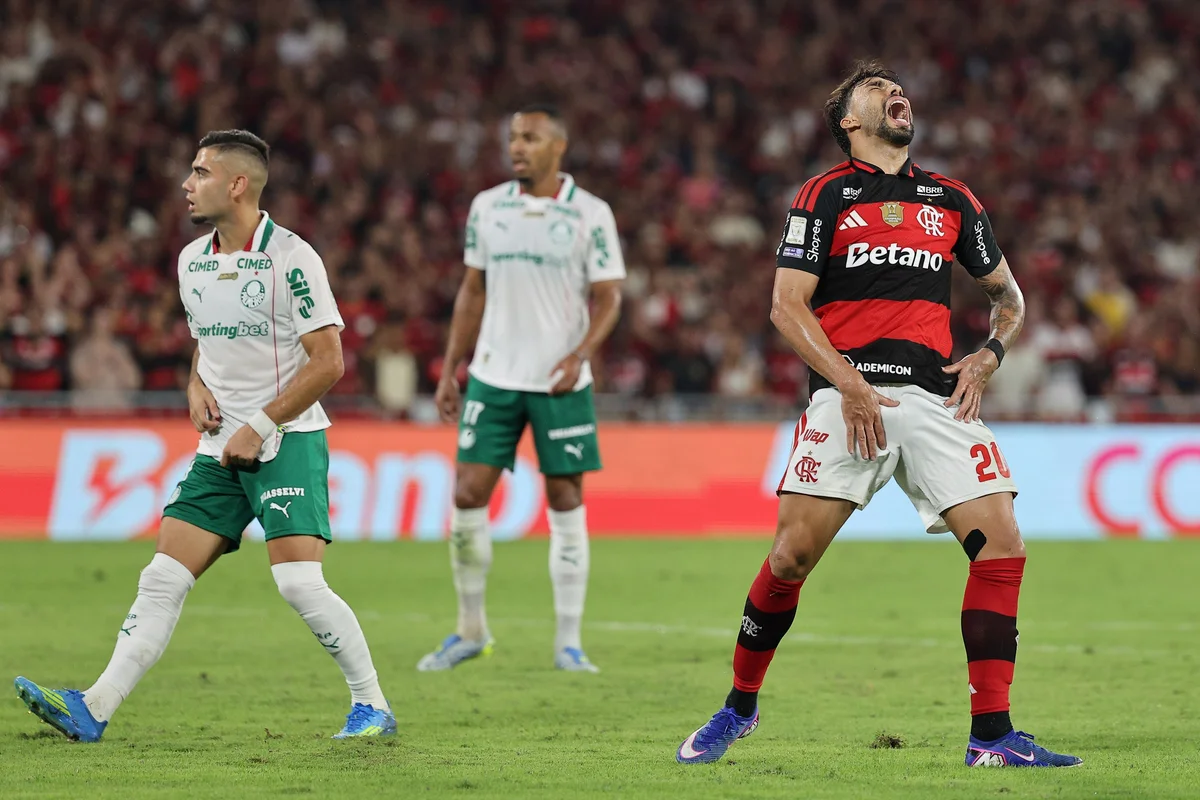 Brasileirão: Palmeiras tem 55% de chance de ser campeão; Fla tem 28%