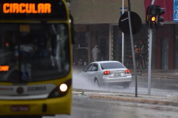 Chuva forte derruba árvore e deixa sinal intermitente na Asa Sul