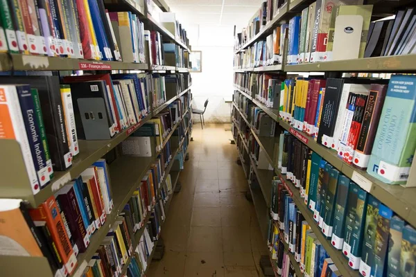 Saiba quanto tempo é preciso estudar para ser aprovado em concursos
