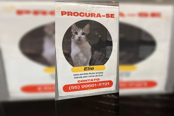 Gatinha elie