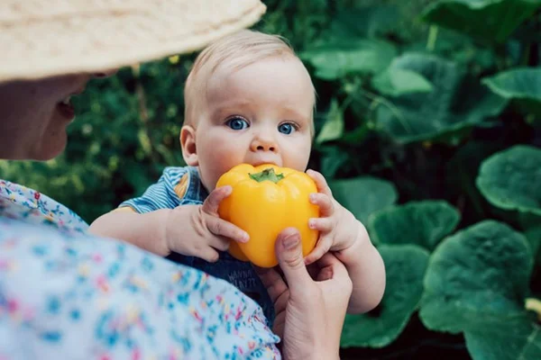 Bebê comendo um pimentão amarelo - Metrópoles