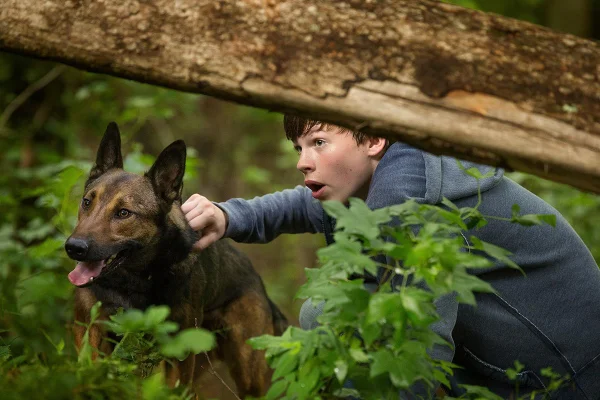 Cena do filme Max: O Cão Herói - Metrópoles