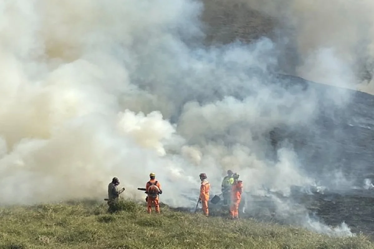 MG: incêndio queima 35 hectares próximo ao Parque Estadual do Krambeck