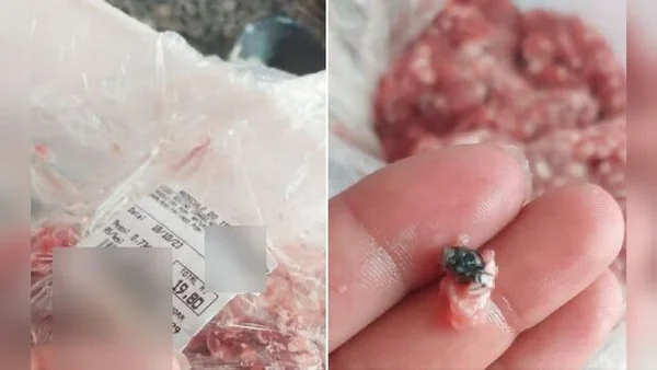 Carne moída com mosca