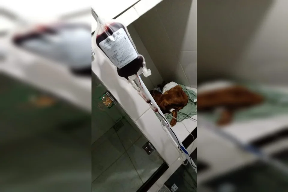 A situação revoltou moradores, que planejam uma passeata A situação revoltou moradores, que planejam uma passeata