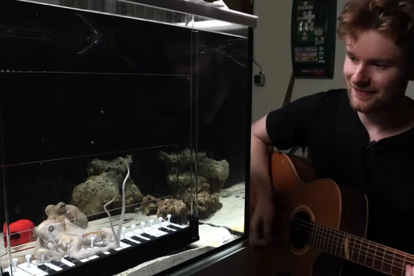 Imagem mostra homem sentado ao lado de um aquário com um violão. No aquário, há um polvo e um piano - Metrópoles