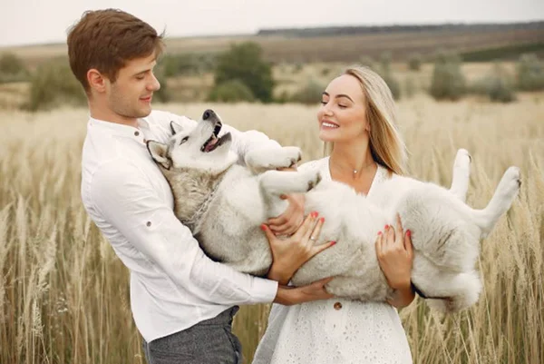 Por que os cães são considerados os melhores amigos dos humanos?