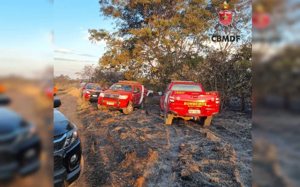 Dois servidores do IBGE morrem carbonizados em incêndio florestal no DF