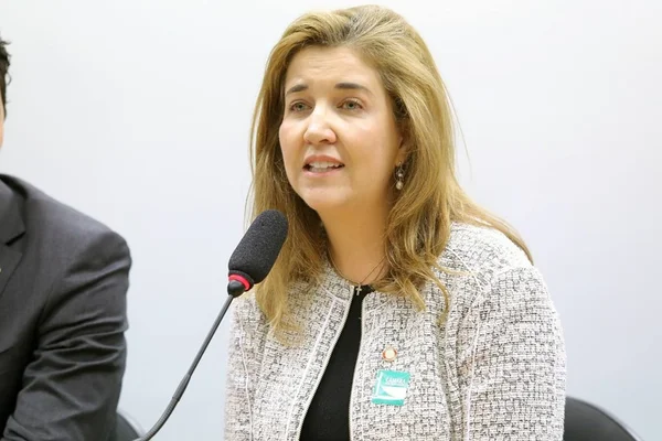 Advogada do DF que bateu boca com Bolsonaro encabeça lista para o TSE