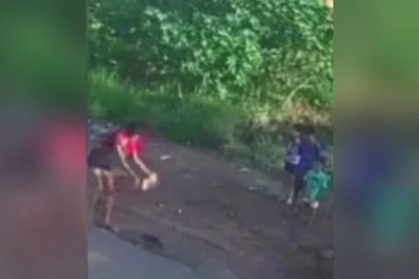 mulher mata gato pedrada trindade goias (1)