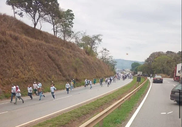 Briga de torcidas do Palmeiras e Cruzeiro