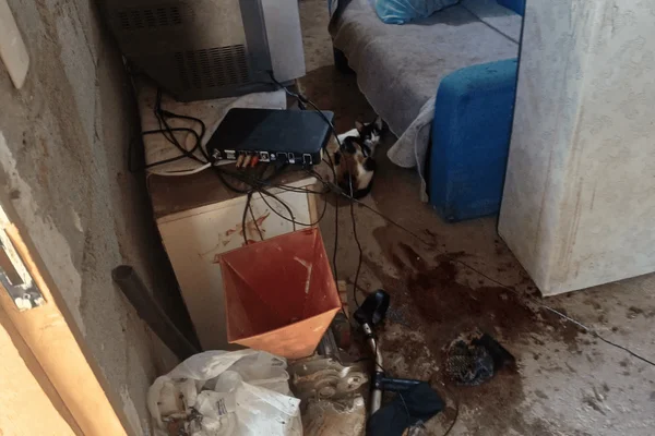 Homem é preso após esfaquear e dar pauladas nos próprios pais na Grande SP - destaque galeria Homem é preso após esfaquear e dar pauladas nos próprios pais na Grande SP - destaque galeria