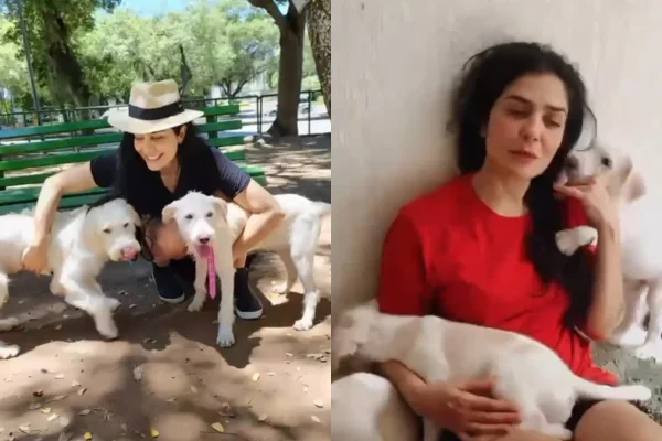 Letícia Sabatella desabafa após veterinária confessar crime: “Doeu”