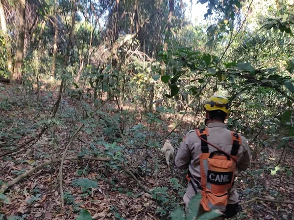 goias idoso desaparecido