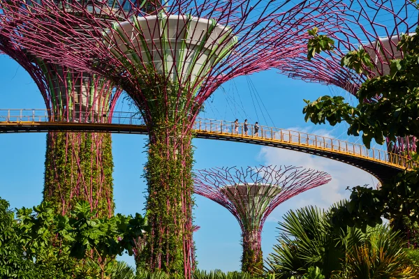 Foto colorida do monumento Garden By the Bay, Supertree Grove, em Singapura - Metrópoles