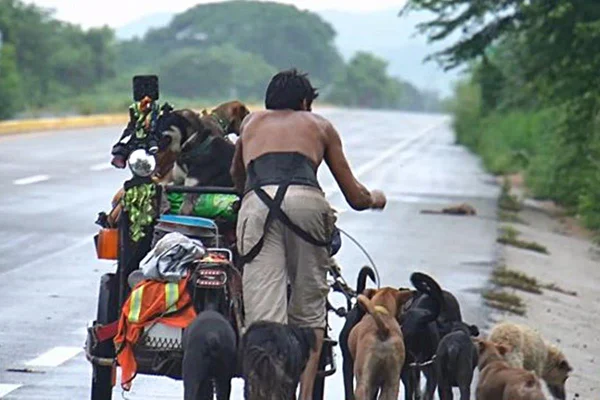na foto vemos um homem empurrando uma carrochinha com vários cachorros ao redor